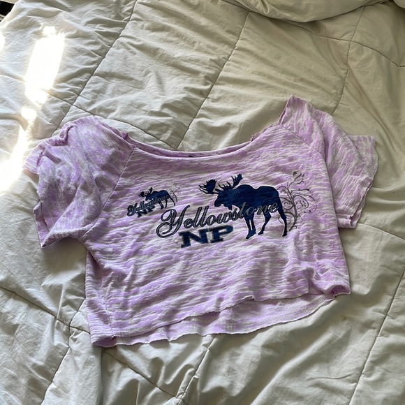 Light purple Yellowstone crop top. - Picture 1 of 2